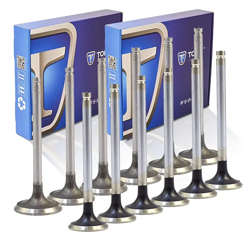 OEM 자동차 엔진 밸브 공급업체