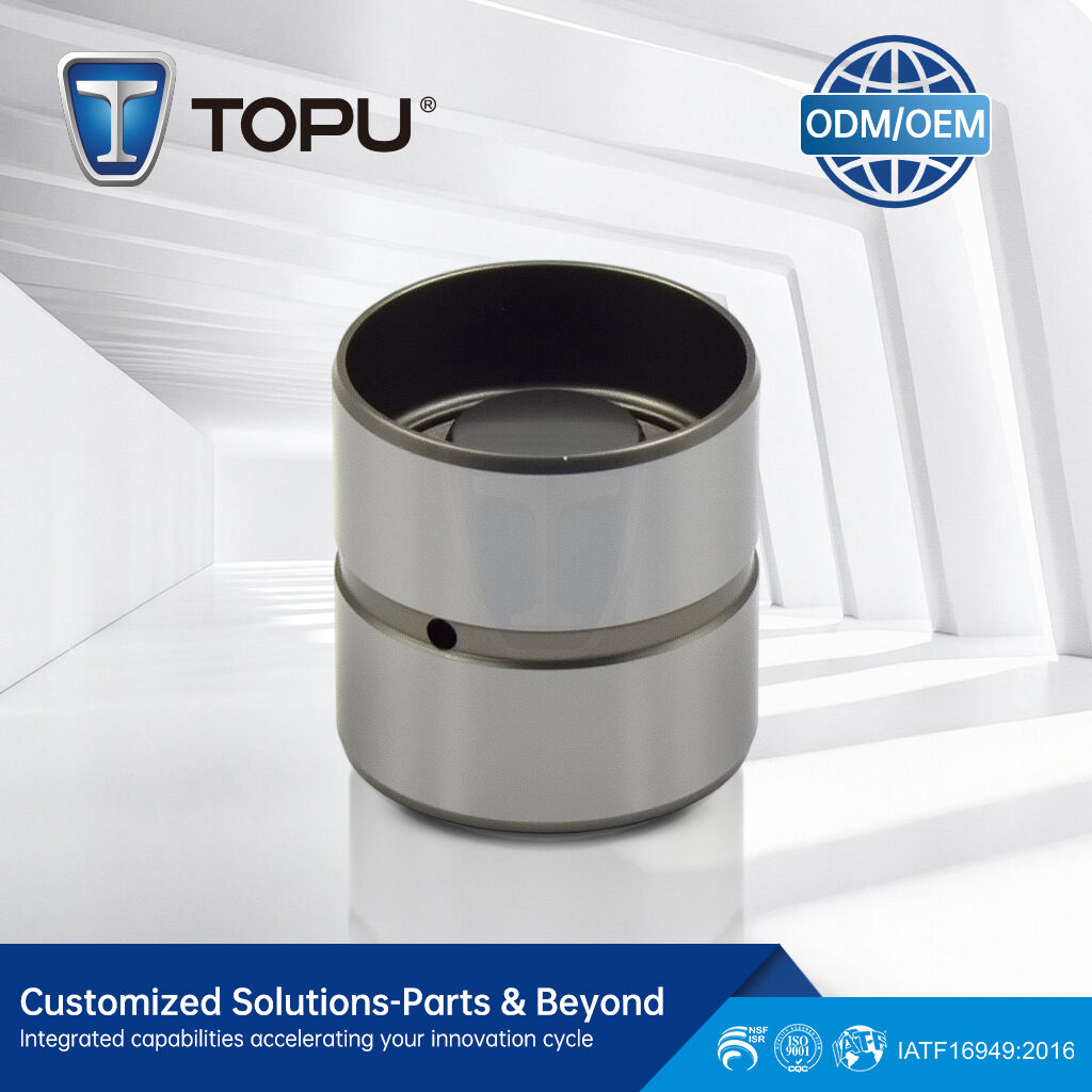 TP67 Valve Tappet OE 034109309AD High Quality Wholesale Engine Parts Hydraulic Valve for LADA 058109309F