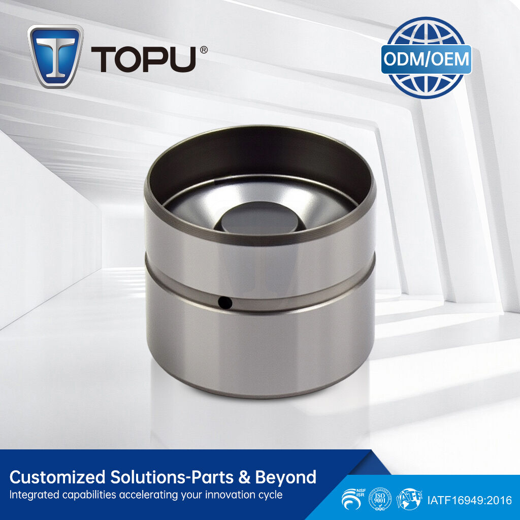 TP69 96184997 96376362 96376400 Hydraulic Lifters Valve Tappet for Chevrolet Aveo Daewoo Lanos 1.6L A16DMS F14D3 F16D3 L44 C20SED