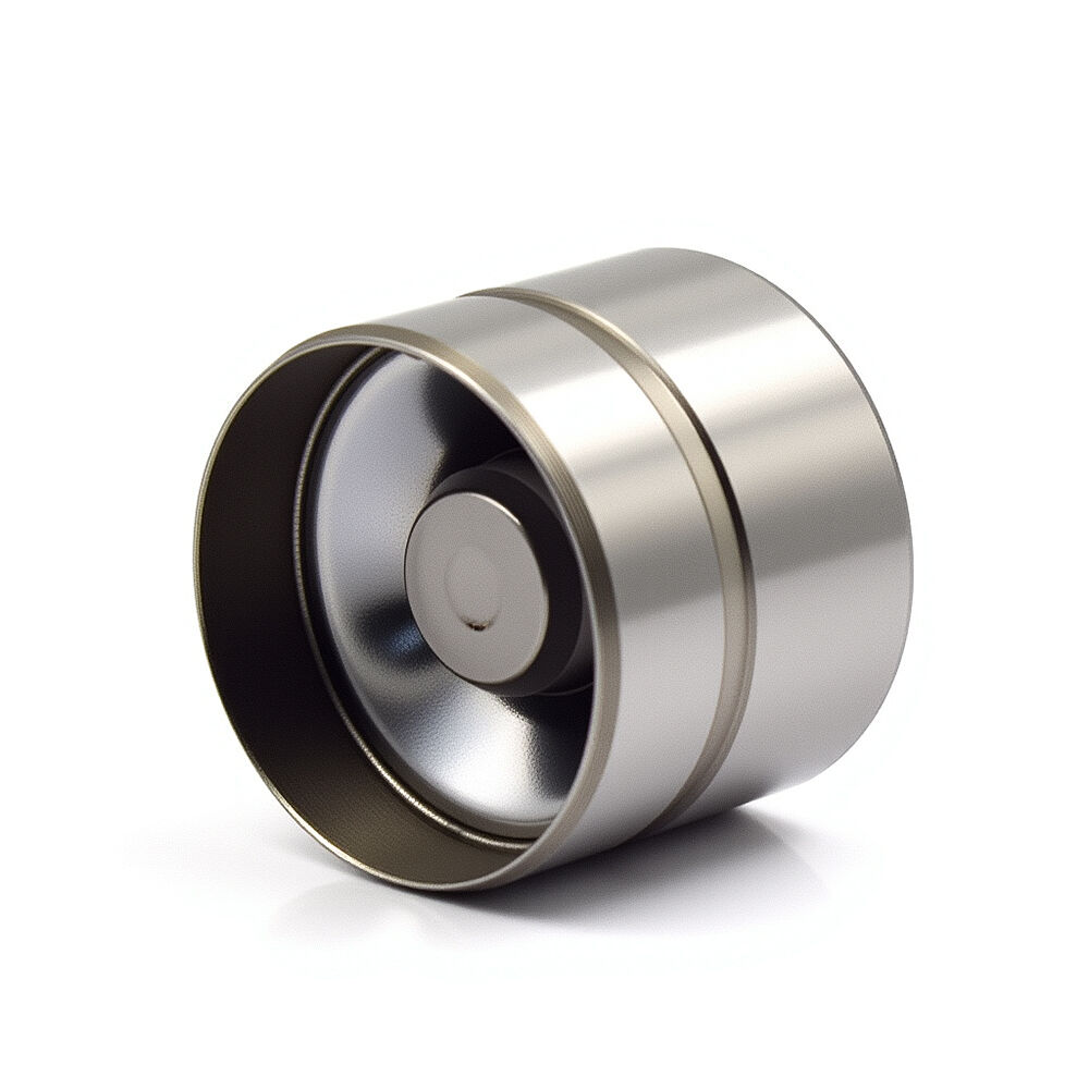 TP69 96184997 96376362 96376400 Hydraulic Lifters Valve Tappet for Chevrolet Aveo Daewoo Lanos 1.6L A16DMS F14D3 F16D3 L44 C20SED 2