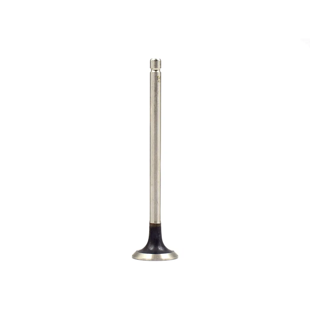 Engine Intake Exhaust Valve 0948.E8 0949.E2 peugeot 207 308 1.6 16V for Sale 2