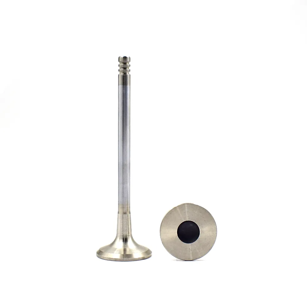 Good Quality Car Parts Engine Control Valves Inlet Valve 0948 73 0978 70 Intake Valve for Citroen 1.6 5