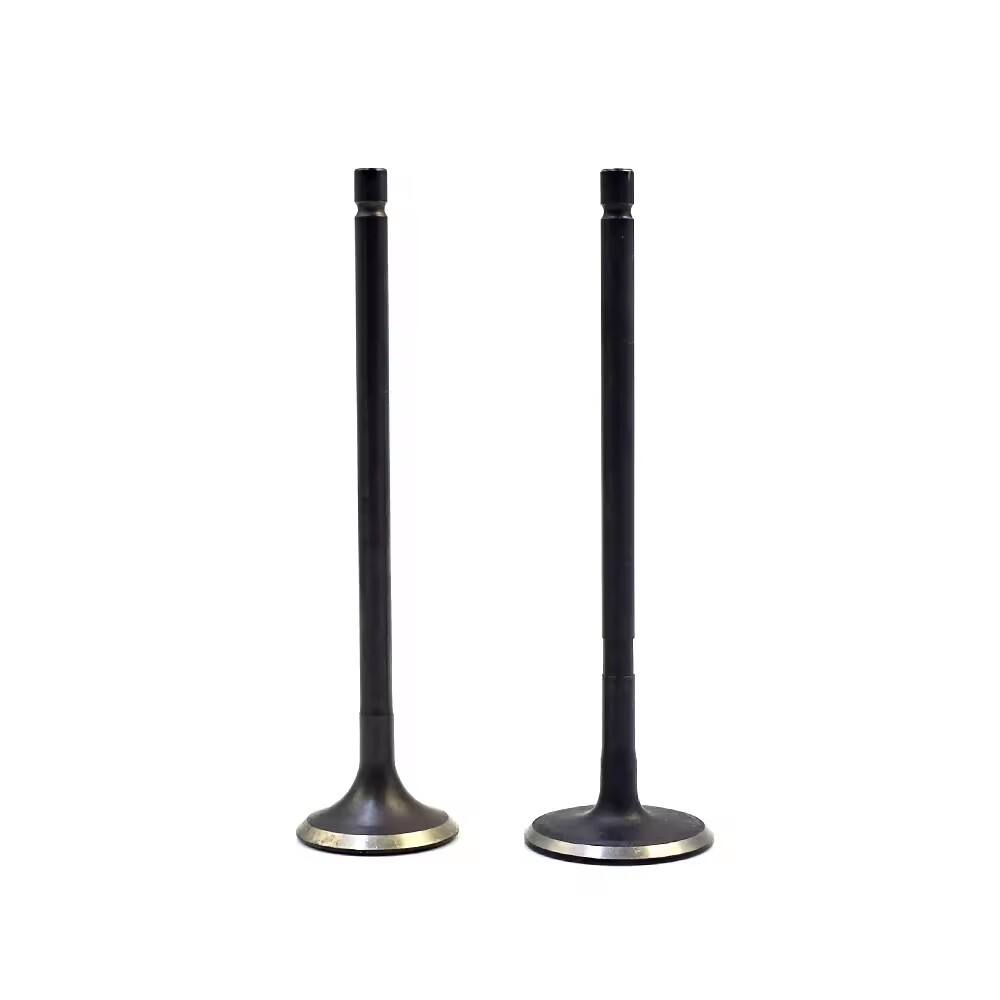 engine car parts 93399245 Engine Valve for Chevrolet Corsa 1.4 2