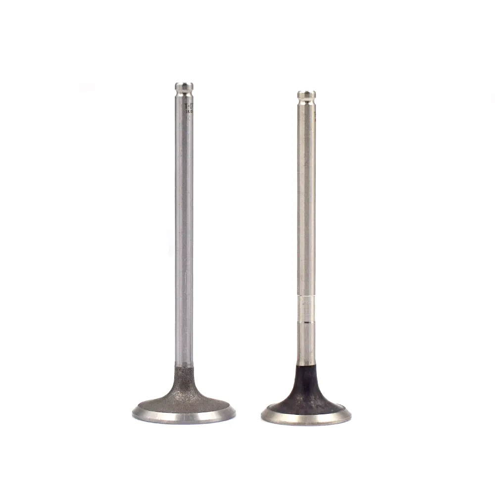 Engine Parts 0948.99 0949.99 Used for peugeot 307 2.0 16V Engine Valve for Sale