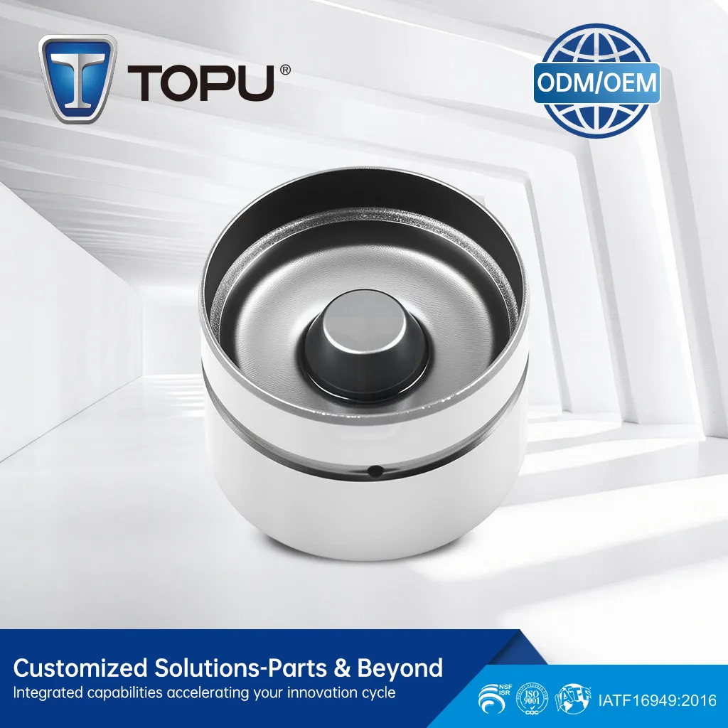 TP75 Auto Engine Parts 85014200 7350 3122 46787055 420 0208 10 265805 LGR 100100 Hydraulic Tappet Valve Lifter for Fiat