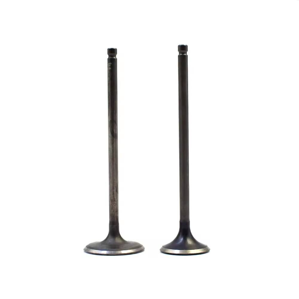 Best Sellers 13202 -40F001 engine valve for Nissan ICHIVAN PICK UP D21 240SX 3