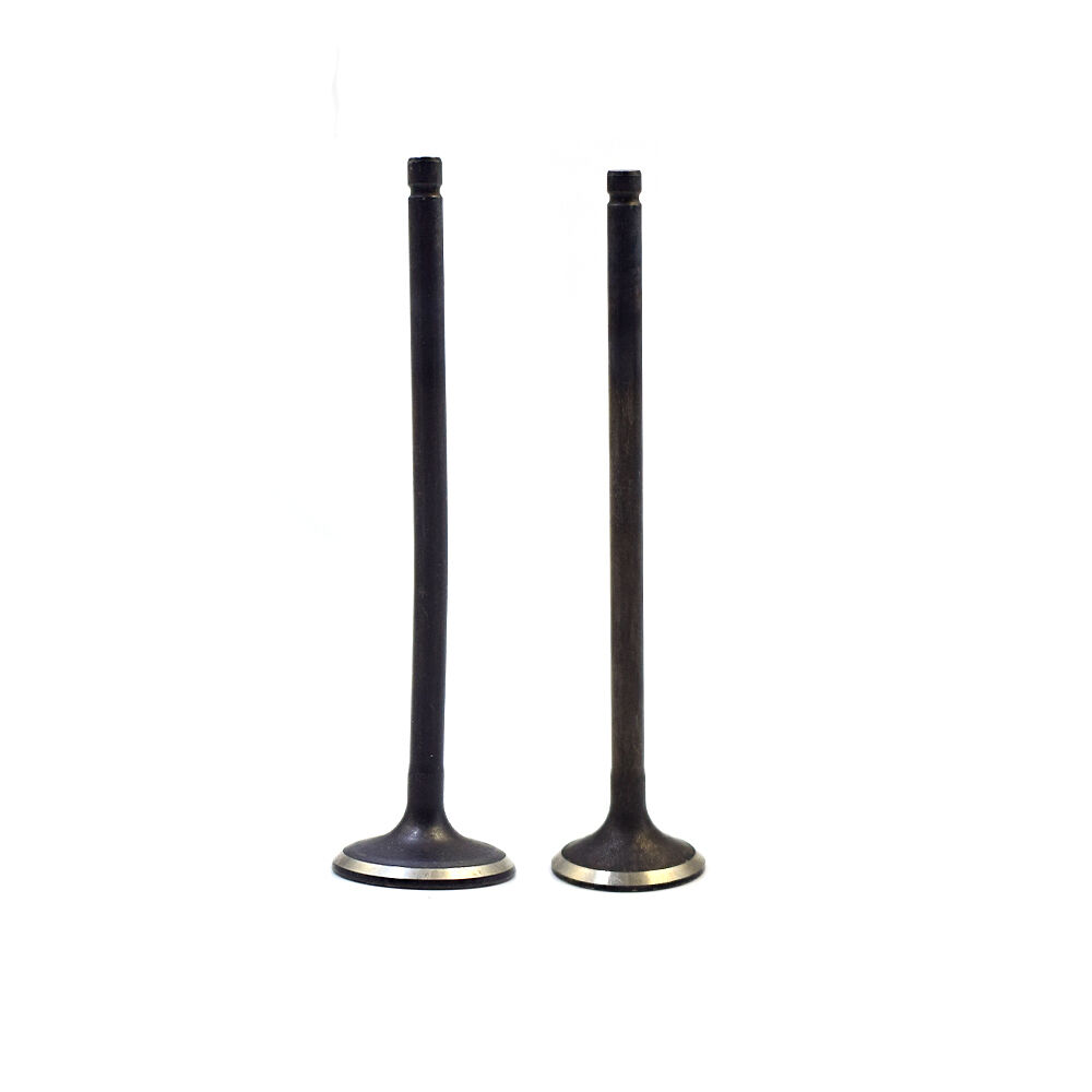 Safety Measures in Intake Valve