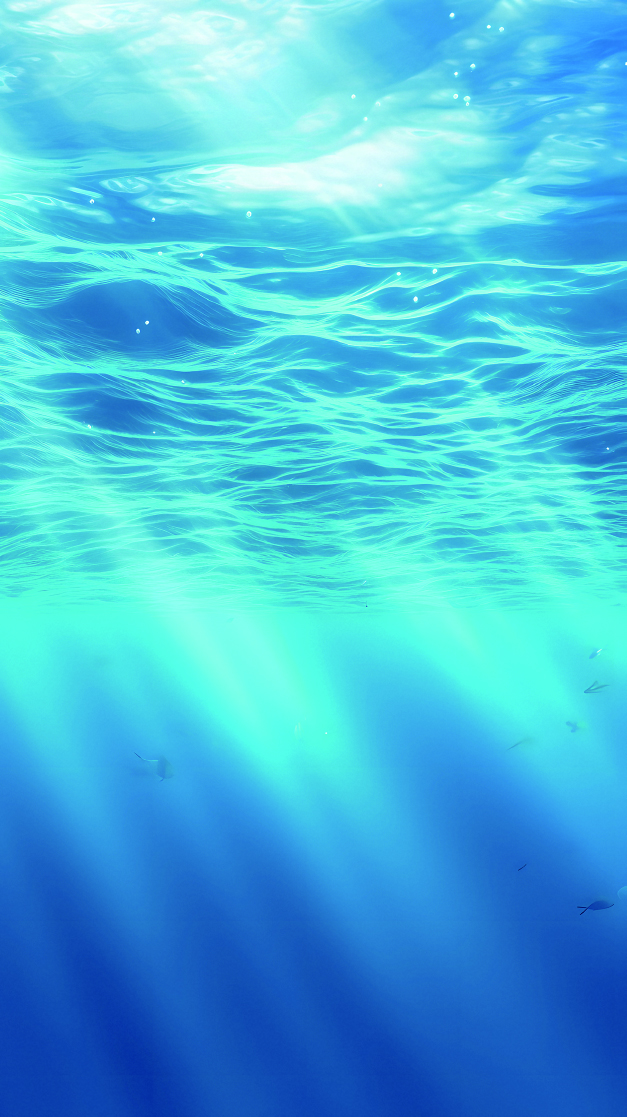 Nachhaltige Entwicklung