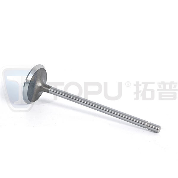 بهبود توان و مصرف سوخت خودروی خود با راه‌حل‌های برتر ما برای شیرها