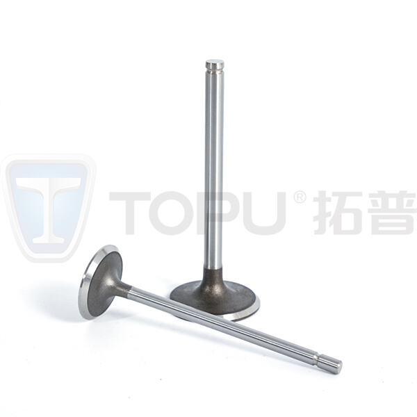 تجربه‌ی دوام طولانی‌تر با محصولات شیر قابل اعتماد ما